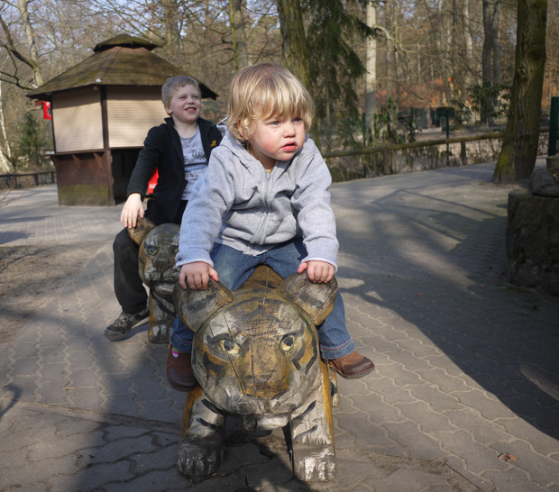 Holztiger Zum Reiten Im Zoo // Himbeer