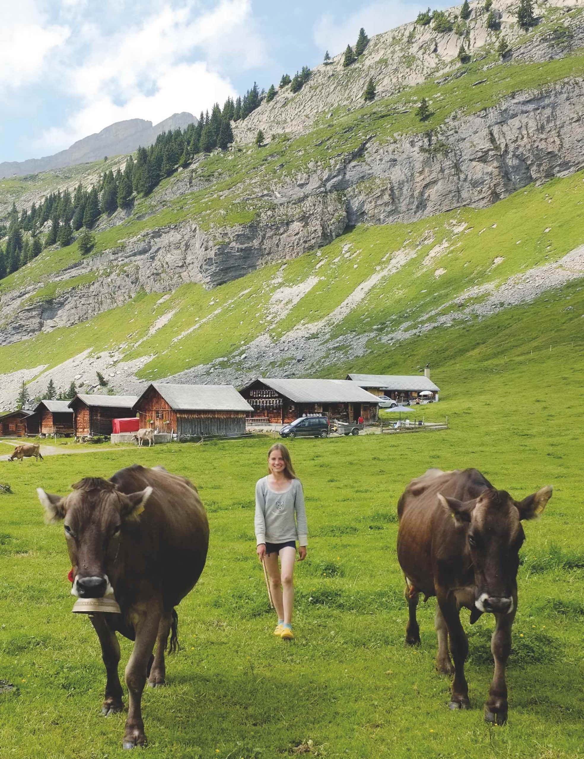 Auszeit auf der Alp mit Kindern – Engstenalp in der Schweiz, Berner Oberland – Kühe auf den Bergwiesen // HIMBEER