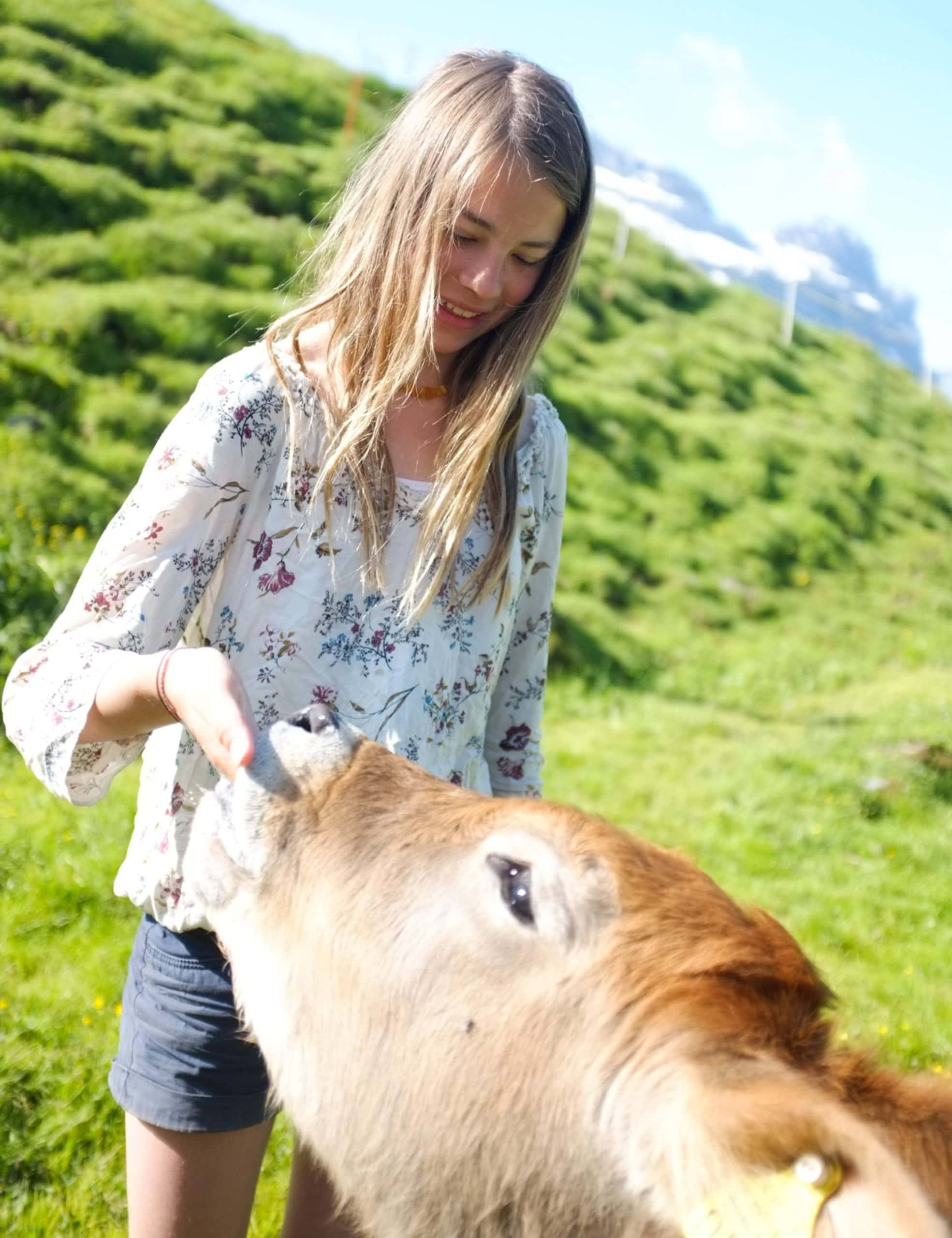 Auszeit in der Schweiz, Berner Oberland – Kuh füttern // HIMBEER