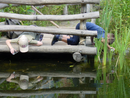 Kinder Großer Teich // HIMBEER