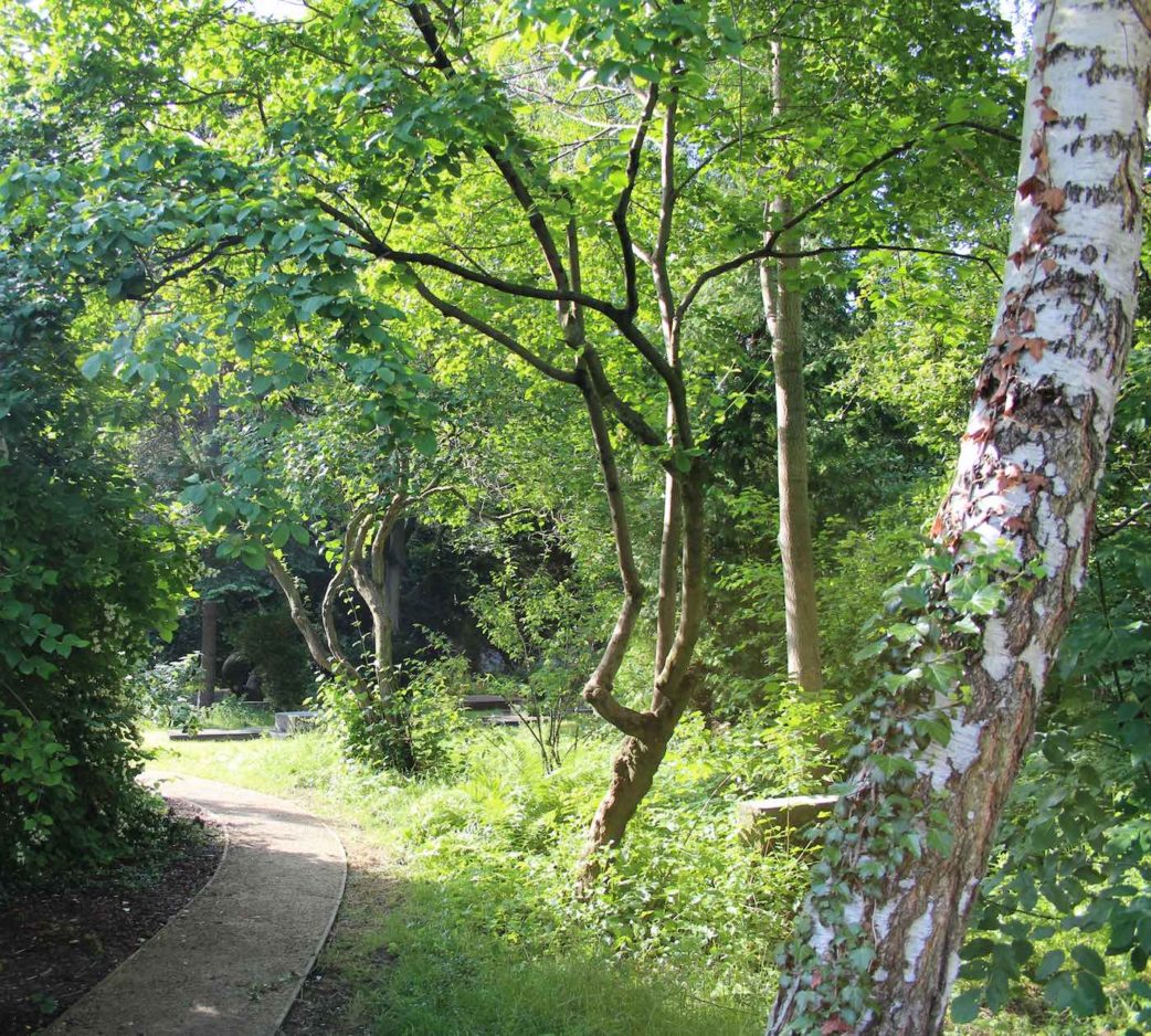 Top 10: Orte zum Picknicken // HIMBEER