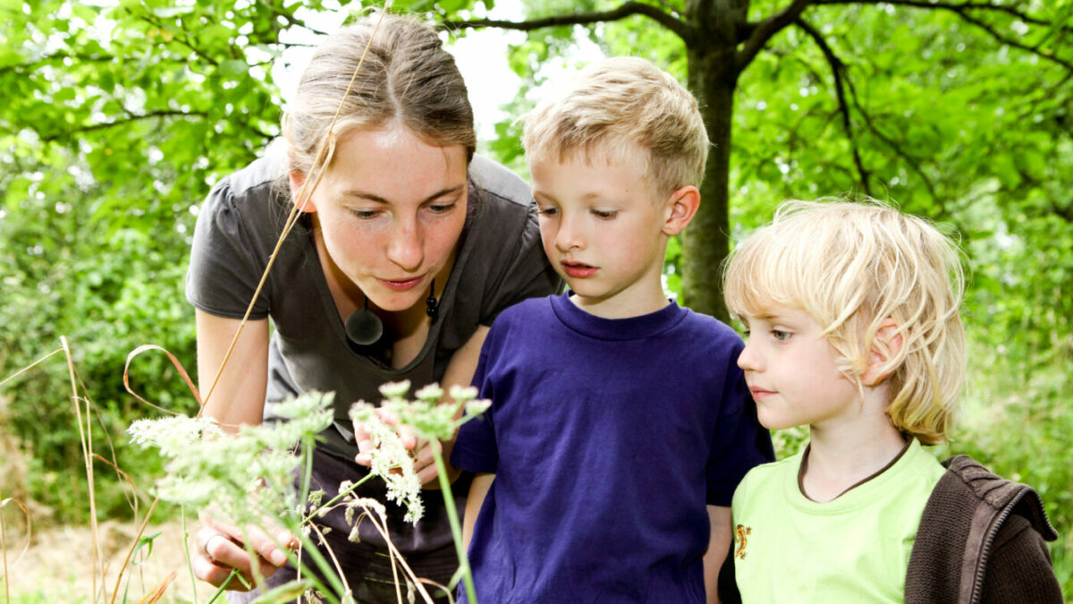 NAJU-Tipps: Balkon mit Kindern bepflanzen und kleine Natur-Experimente machen // HIMBEER
