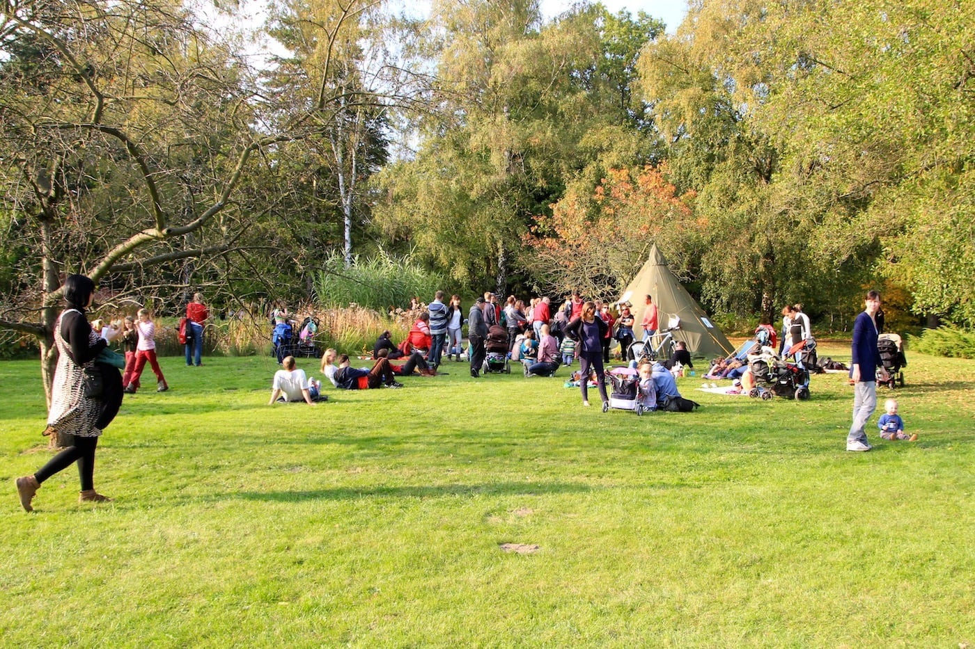 Herbstferien für Kinder in Berlin Kurse Botanischer Volkspark Pankow c Gruen Berlin // HIMBEER