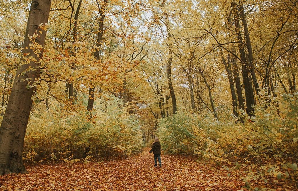 Herbst Bilder Kinder