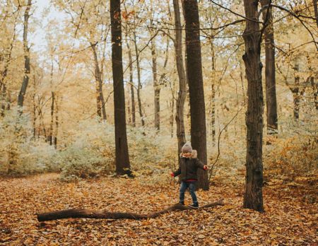 Herbst Fototipps Kinder Wald // HIMBEER