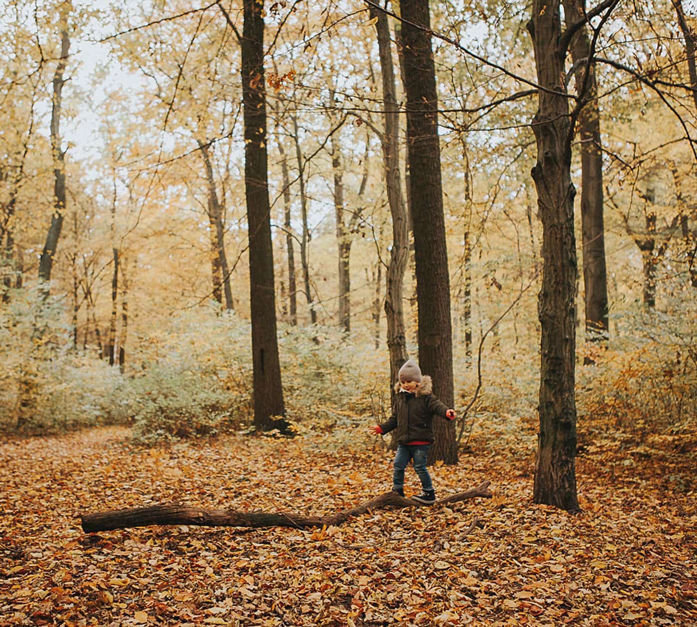 Herbst Fototipps Kinder Wald // HIMBEER
