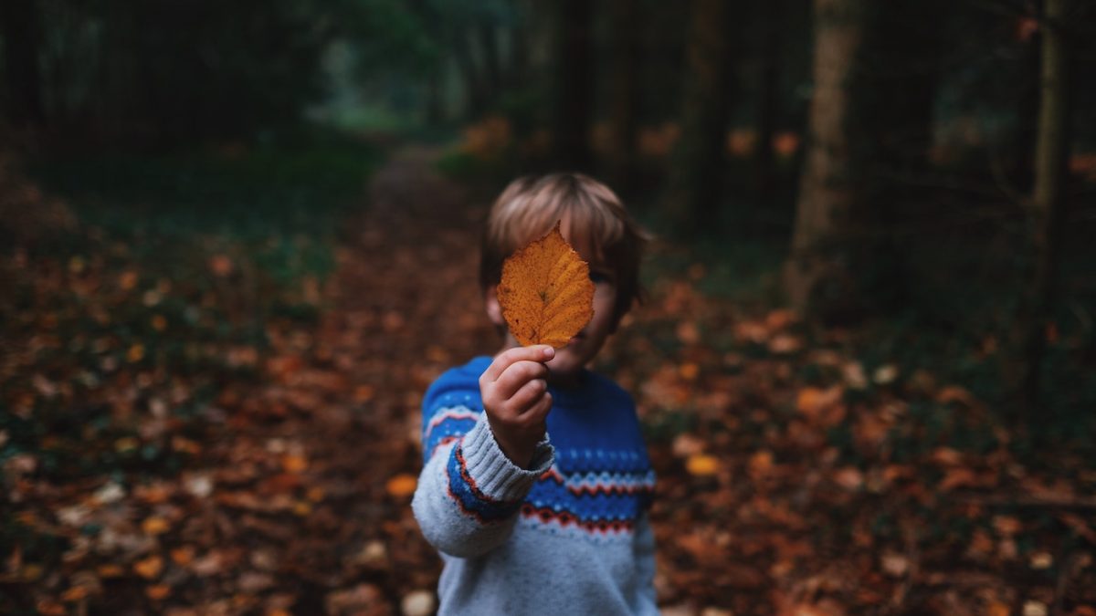 Herbstferien in der Natur mit Ferienkursen für Kinder in Berlin 2019 c Annie Spratt// HIMBEER