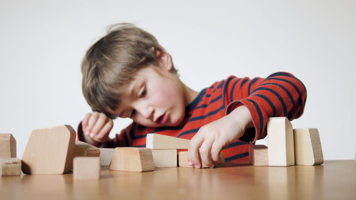 Kreatives Design-Spielzeug Für Kinder: Lessing Hiolzbausteine Mauersack // Himbeer