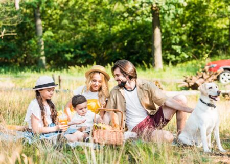 Top 10 Picknicken Mit Kindern In Berlin – Die Schönsten Orte // Himbeer