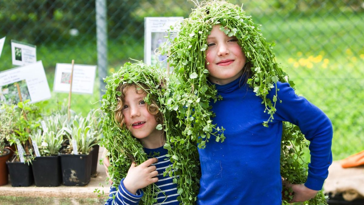 Pflanzen auf dem Kopf | berlinmitkind.de