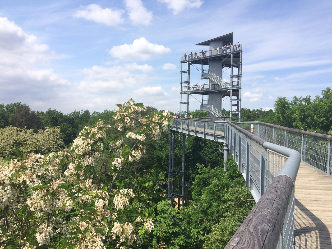 Baumkronenpfad Beelitz-Heilstätten: Ausflugstipp Mit Kindern // HIMBEER