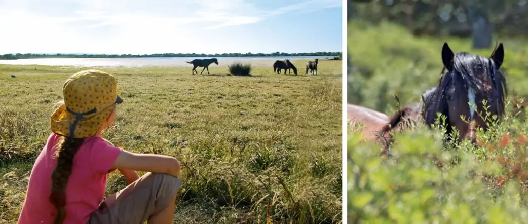 Mädchen Beobachtet Auf Sardinien Die Wild Lebenden Pferde | München Mit Kind
