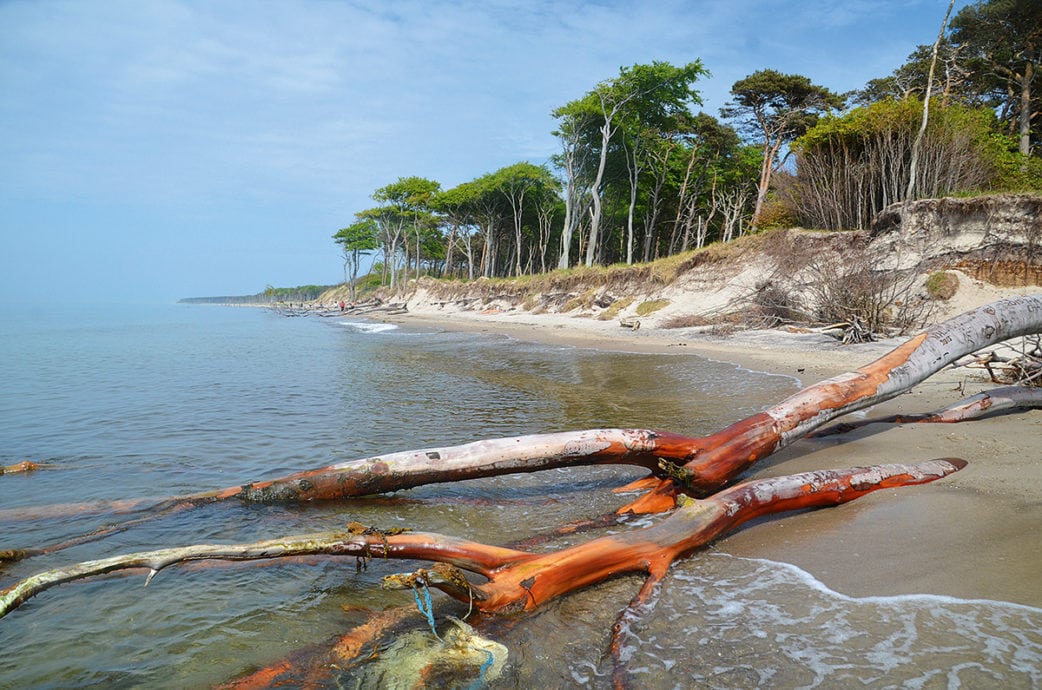 Ostsee Strand wilde Natur | München mit Kind
