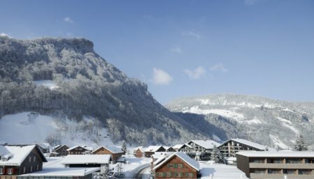 Bregenzerwald In Österreich // Himbeer
