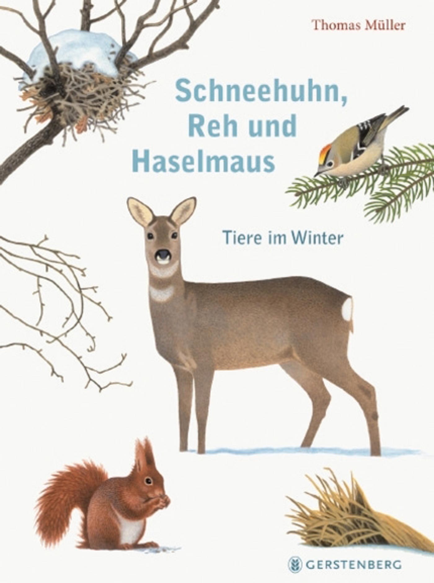 Kinderbuch-Tipps: Kinderbücher für den Winter // HIMBEER