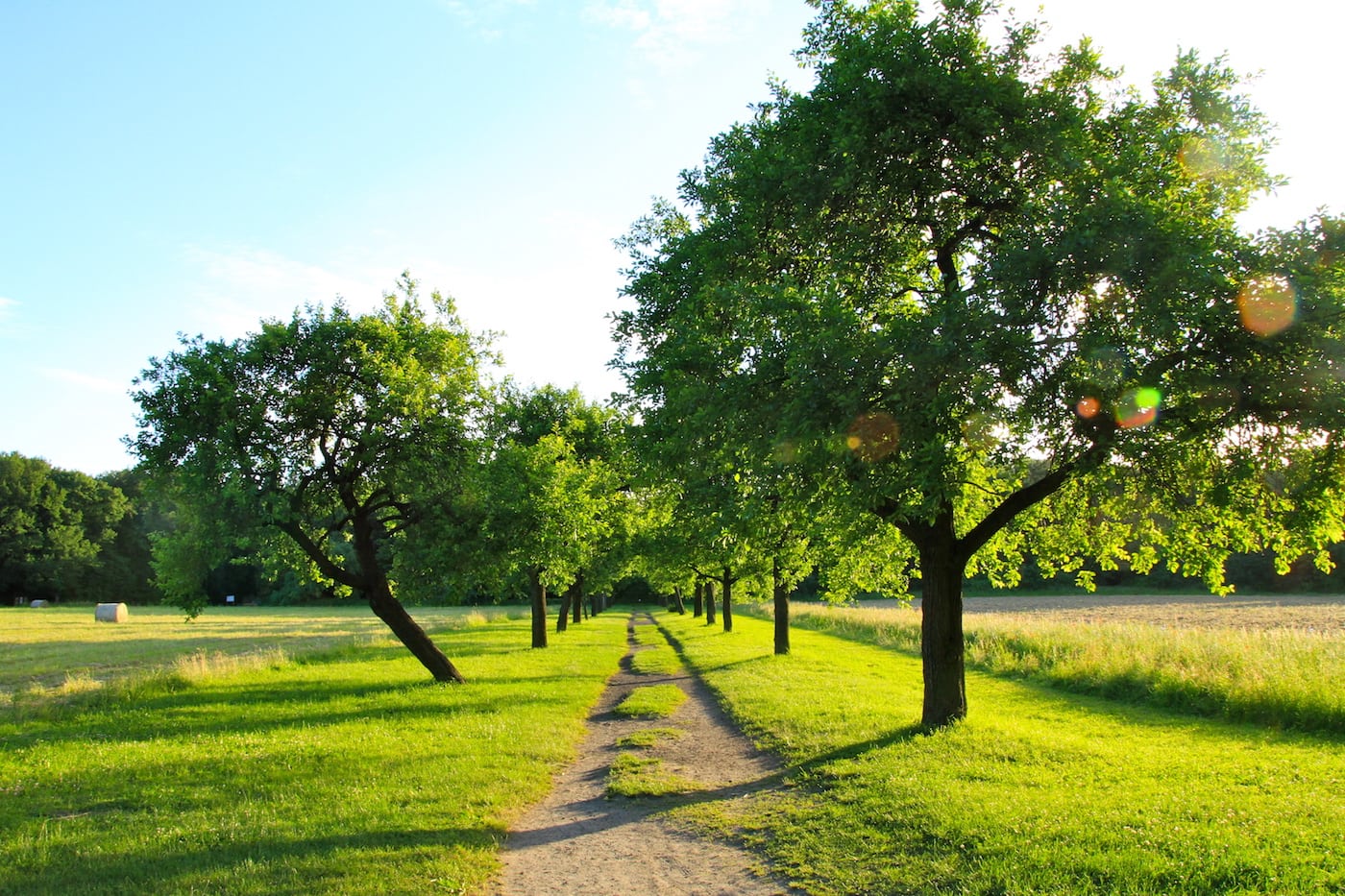 Ferienkurse für Kinder im Botanischen Volkspark Pankow // HIMBEER