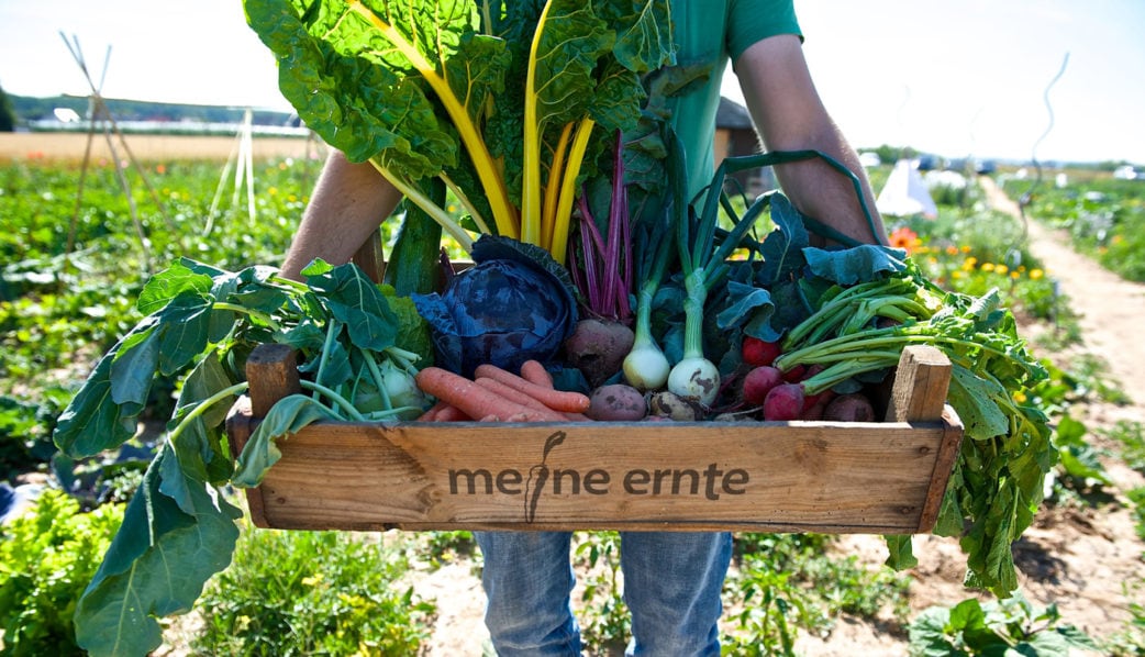 meine ernte: In die Gummistiefel, fertig, los! // HIMBEER