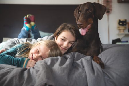 Himbeer Titelstory: Kinder Und Ihr Haustierwunsch: Hund // Himbeer