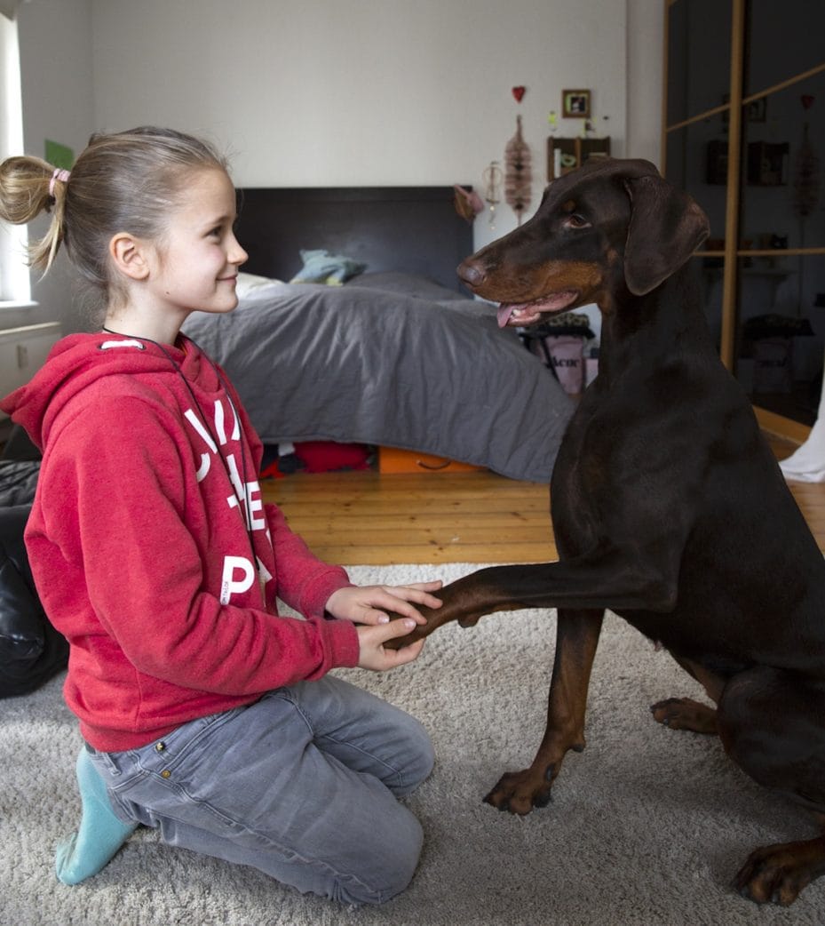 HIMBEER Titelstory: Kinder und ihr Haustierwunsch: Hund // HIMBEER