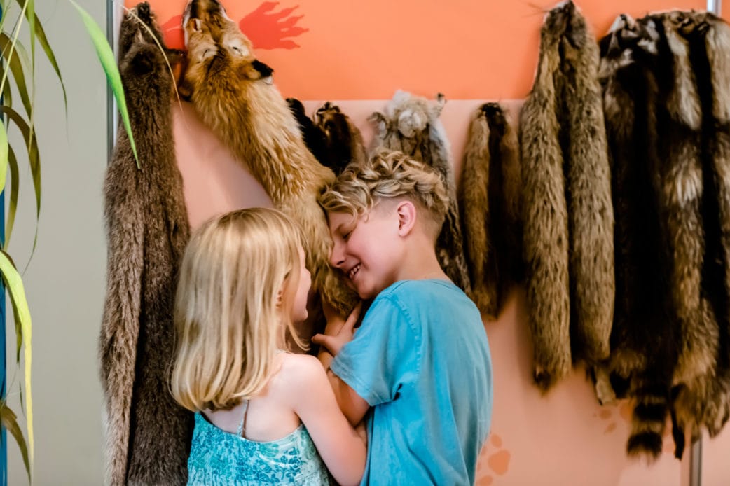 Kindergeburtstag feiern im Naturkundemuseum Potsdam // HIMBEER
