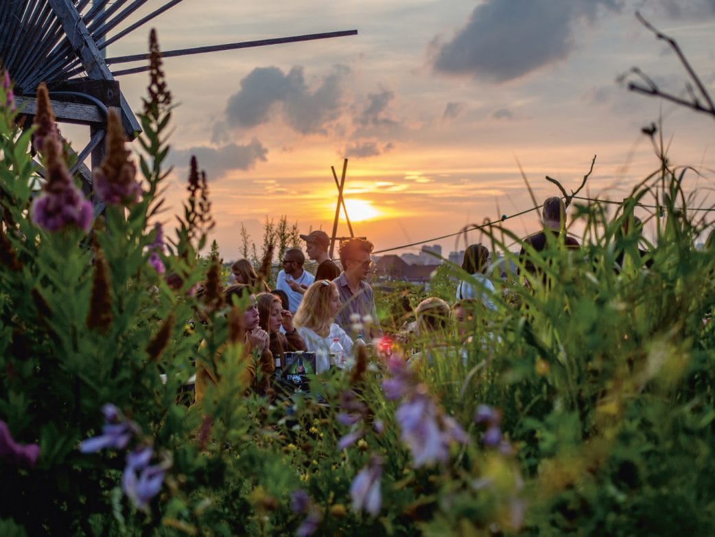 Aussichtspunkte in Berlin – Wo man in Berlin einen guten Ausblick hat: Klunkerkranich Berlin // HIMBEER