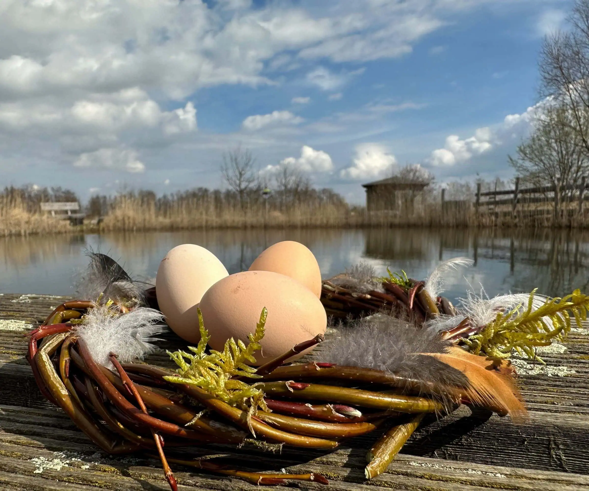 Ostern Im Heinz Sielmann Stiftung Natur-Erlebniszentrum Wanninchen // Himbeer