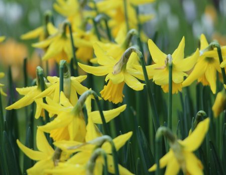 Tipp mit Kindern: Ostern im Volkspark Potsdam // HIMBEER