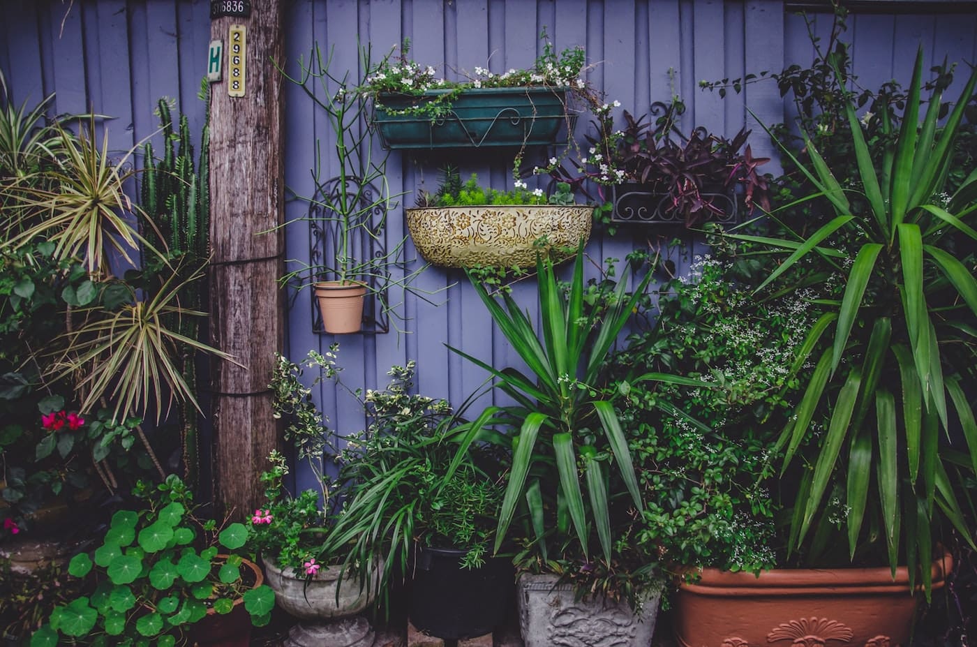 Top 10 Gartencenter in Berlin // HIMBEER
