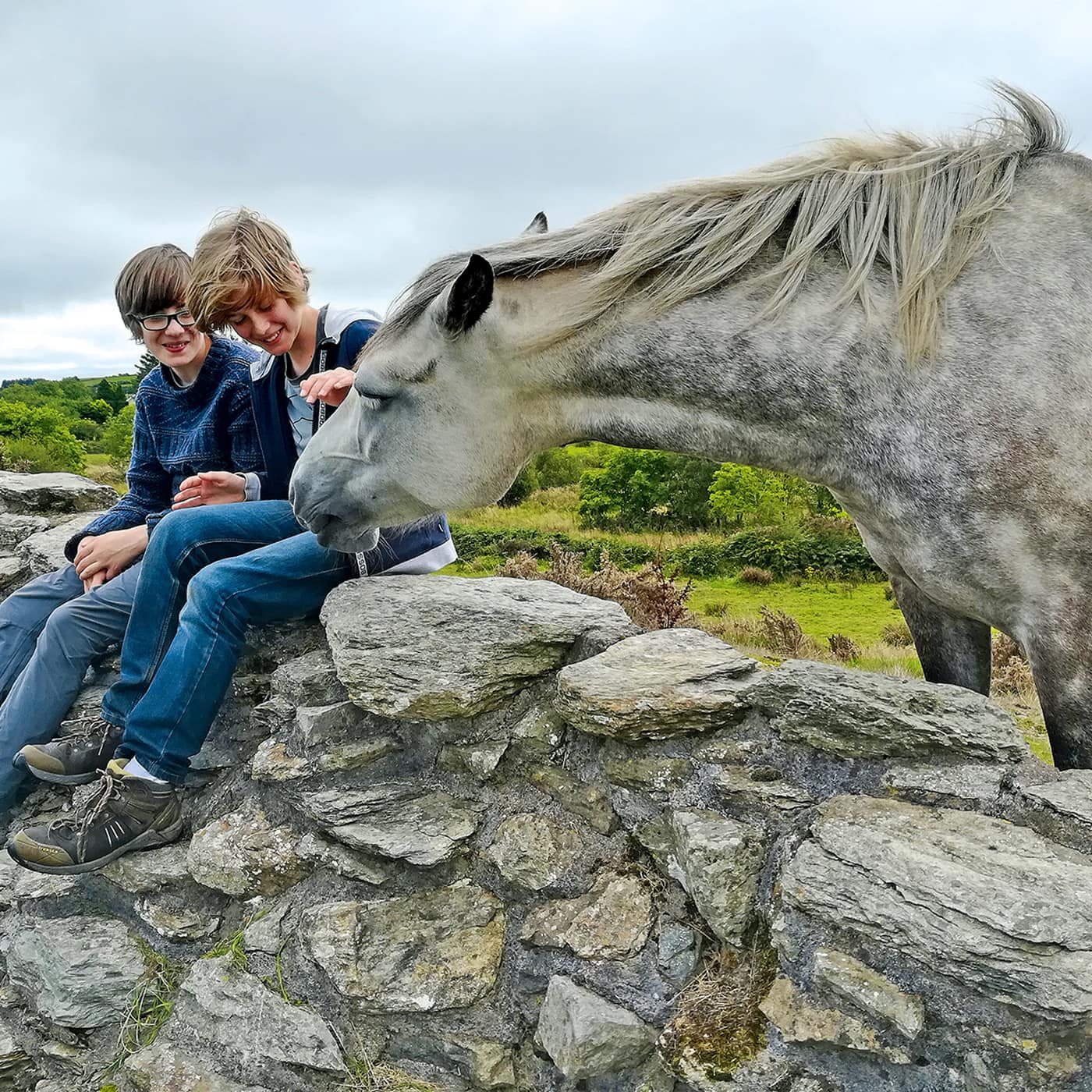 Naturzeit-Reisetipps für Familien: Irland mit Kindern // HIMBEER