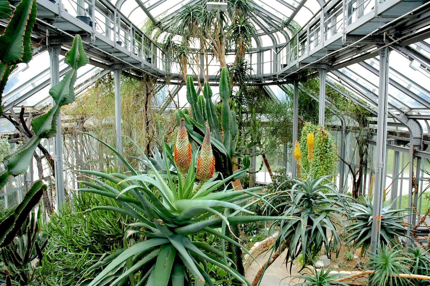 Botanischer Garten Berlin Ausflug Mit Kind Himbeer