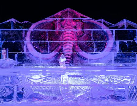 Karls 5. Eiswelt in Elstal bei Berlin // HIMBEER