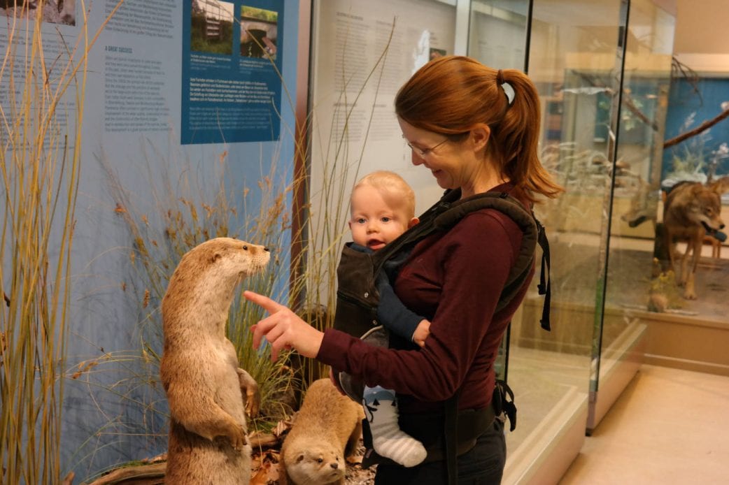 Naturkundemuseum Postdam mit Baby // HIMBEER