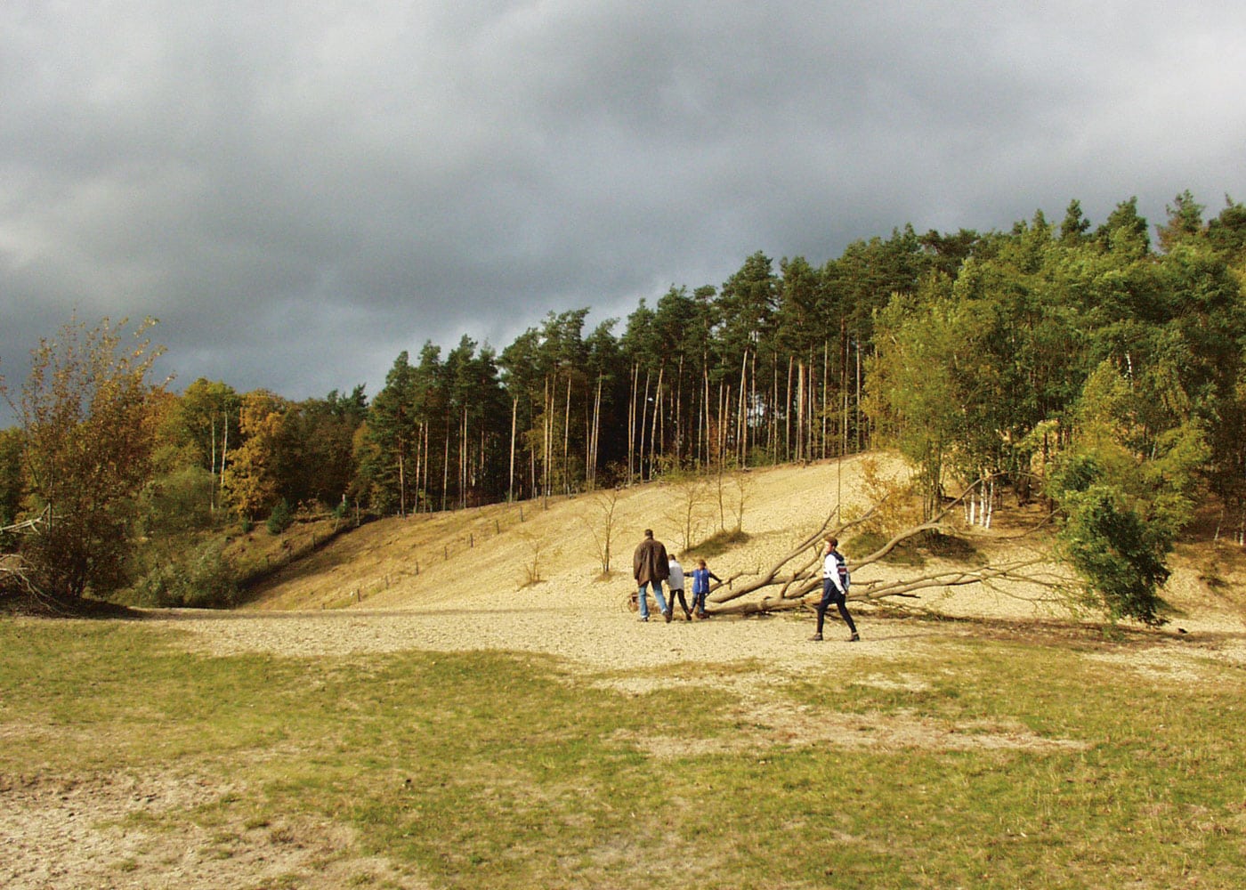 Sandgrube Im Grunewald Berlin – Ausflug Mit Kindern // Himbeer