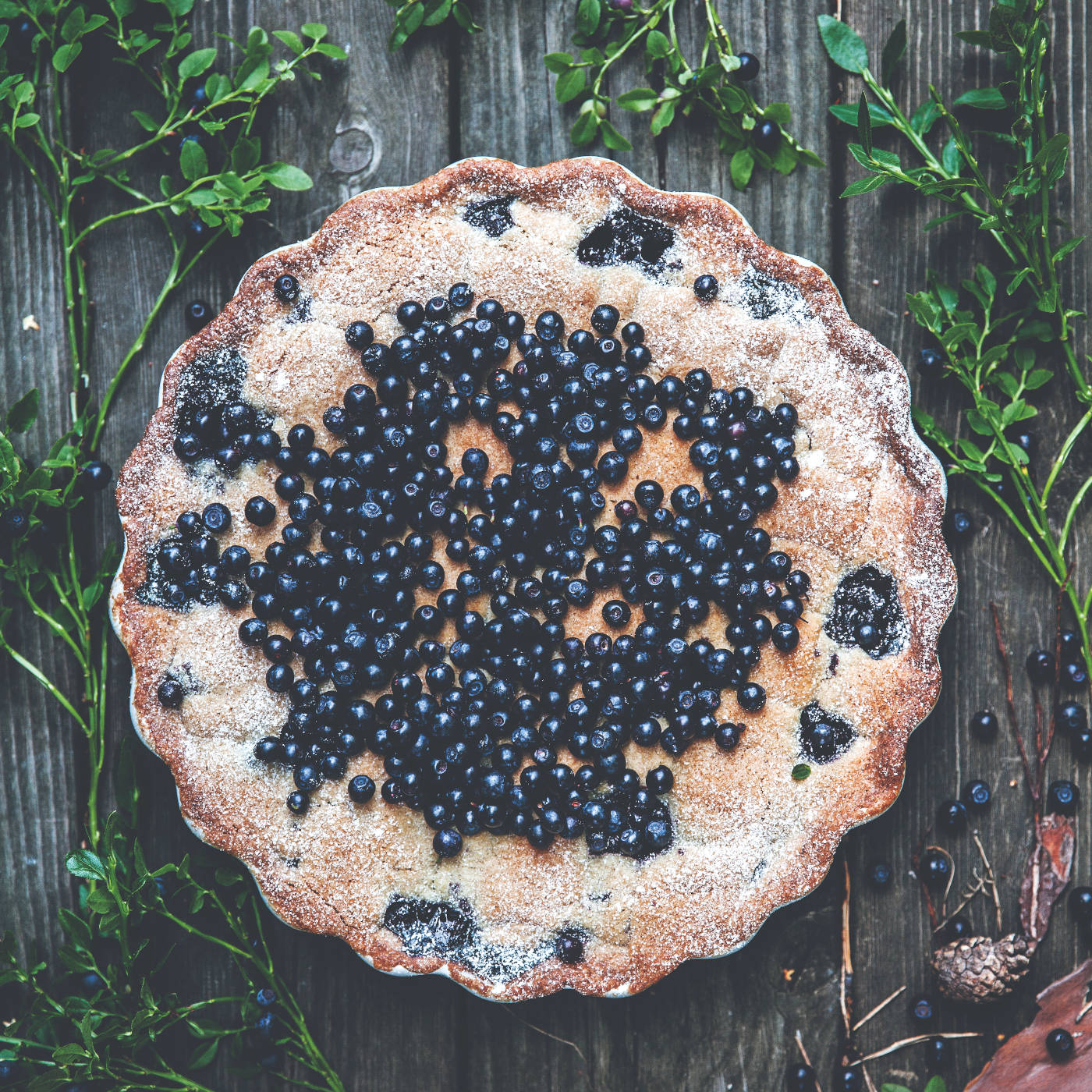 Heidelbeerkuchen backen – Rezepte für Familien // HIMBEER