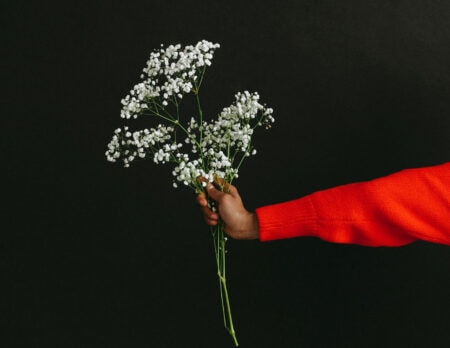 Blumen schenken zu jedem Anlass // HIMBEER