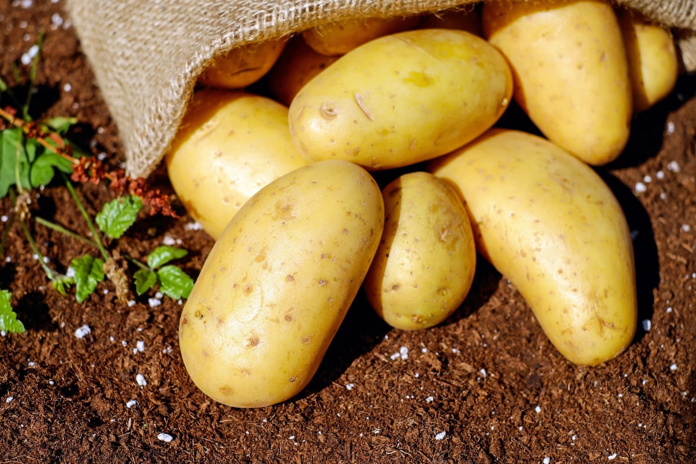 Kartoffeln Für Dum Aloo Kartoffel-Curry // Himbeer