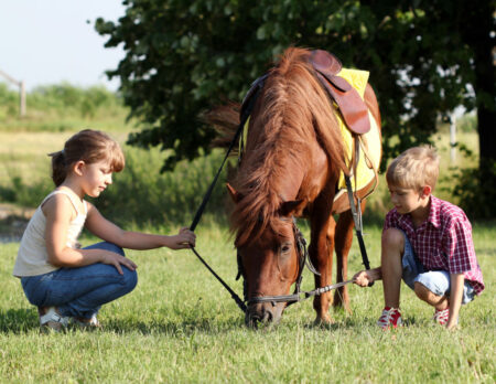 Ferienspaß mit Pferden und Ponys:
Familienurlaub auf Gut Sarnow
// HIMBEER