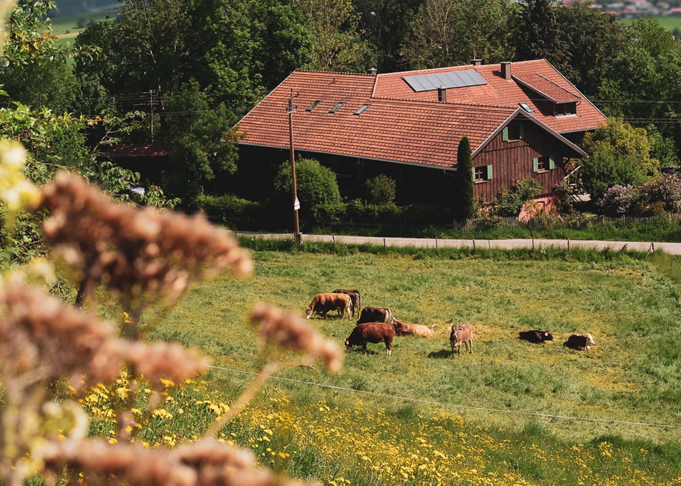 Urlaub mit Kindern in Deutschland: ROSSO – Renovierter alter Bauernhof mit Ferienwohnungen im Allgäu // HIMBEER