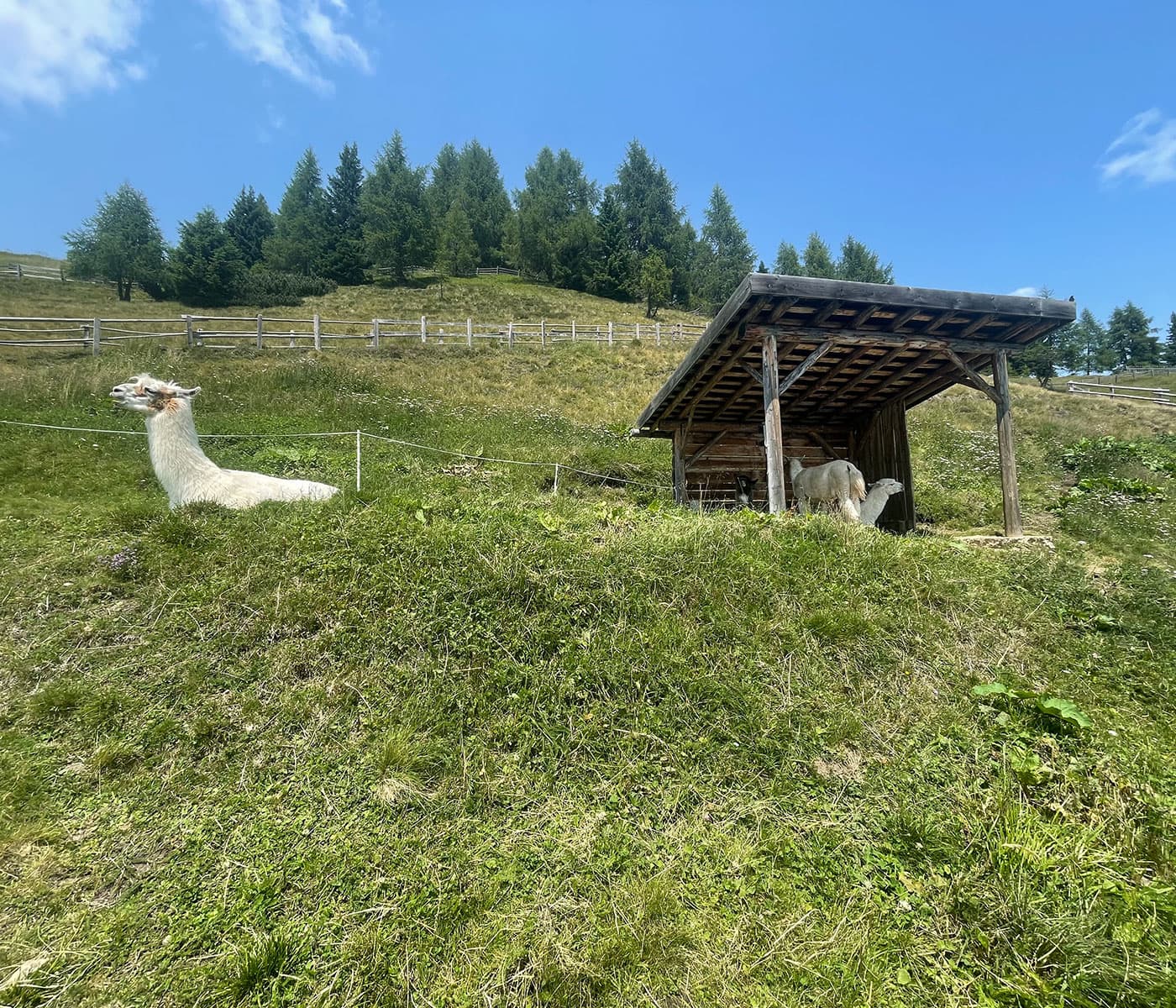 Bergurlaub in Südtirol: Family Resort & Spa in den Alpen // HIMBEER