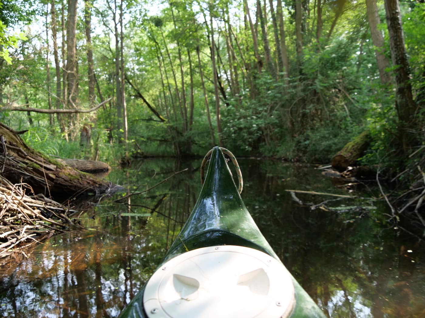 Mit dem Kanu wandern im Netzowgraben - Naturpark Uckermärkische Seen // HIMBEER
