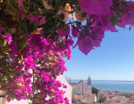 Blumenpracht Und Prächtige Ausblicke In Lissabon // Himbeer