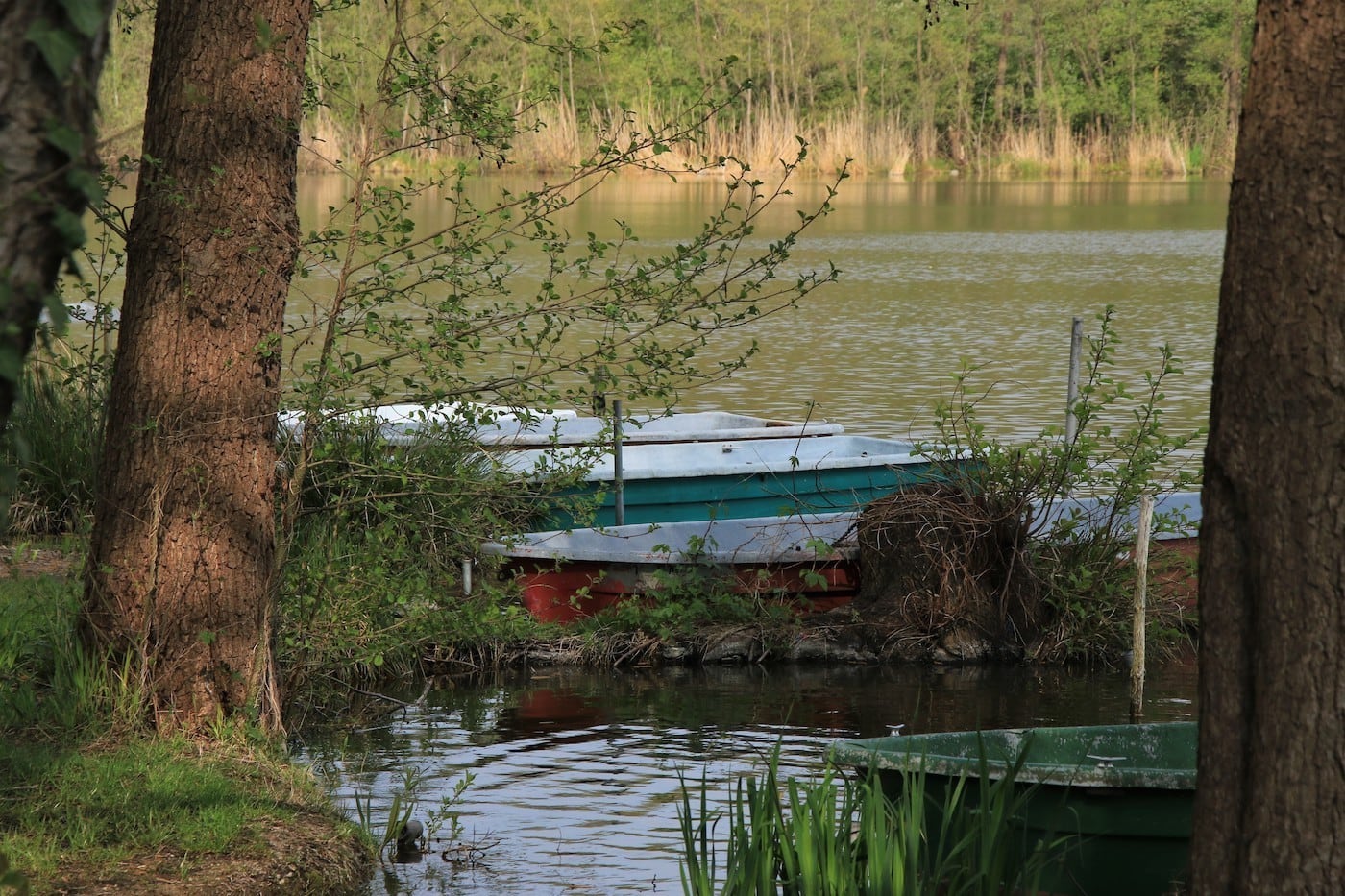 Beim Naturpark Dahme-Heideseen gibt es viel zu erkunden. Leiht euch doch mal ein Boot aus und kundschaftet alles aus! // HIMBEER