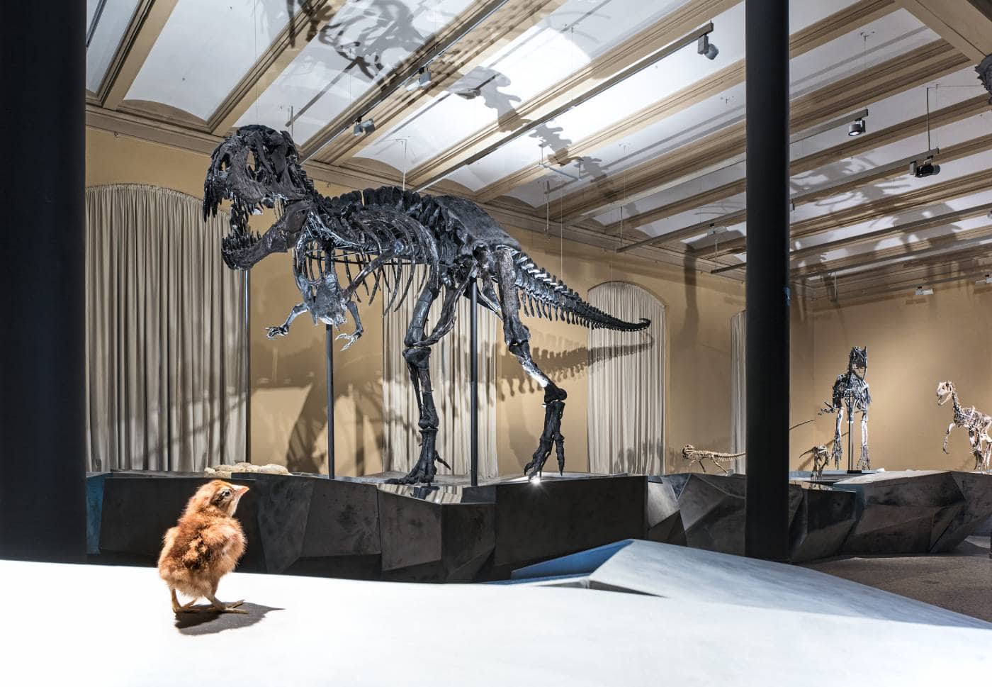 Museum Für Naturkunde, Dinosaurier! Zeitalter Der Riesenechsen// Himbeer