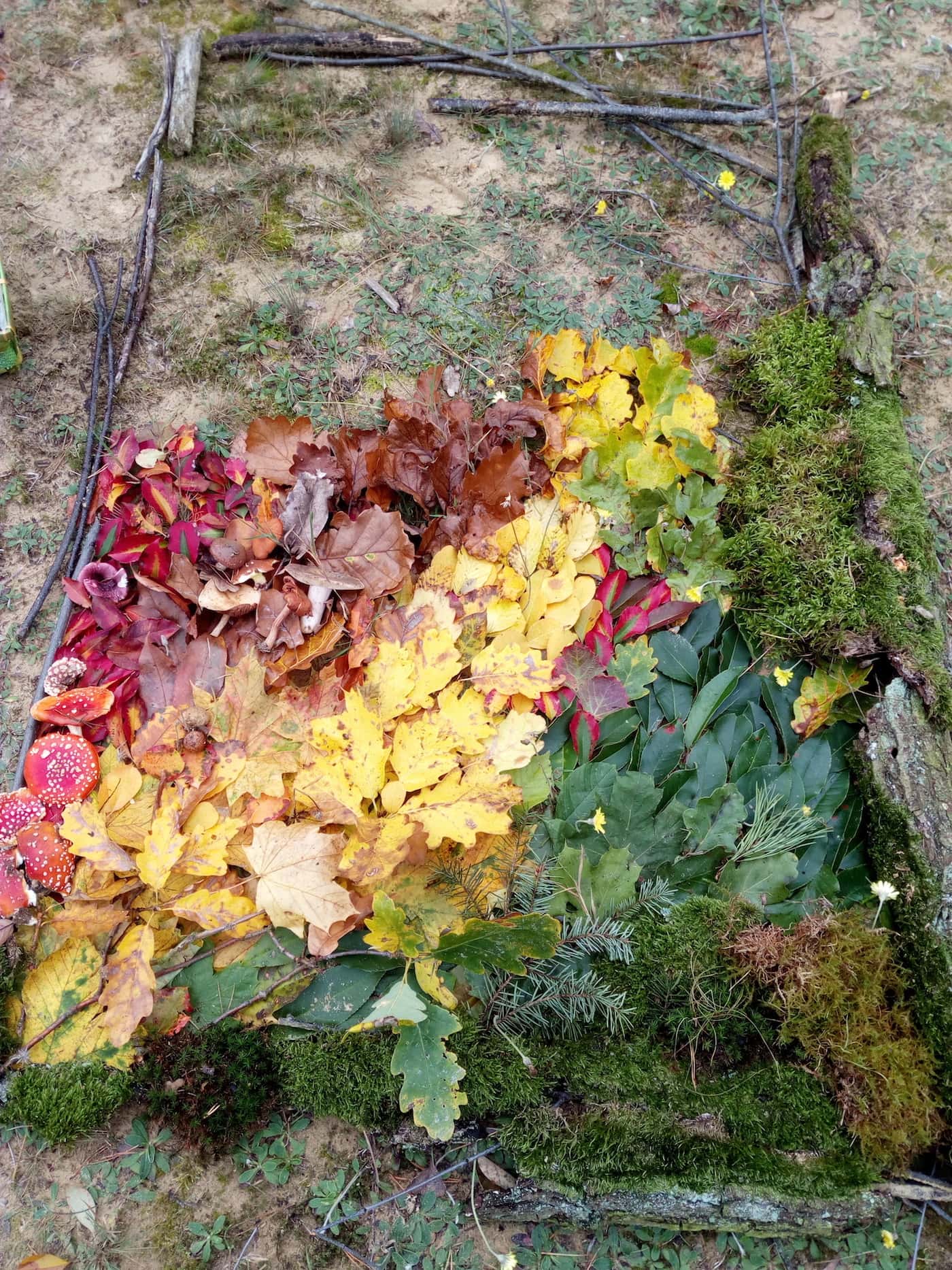 Bei der Waldschule Spandau können Kinder in den Herbstferien tolle Kunst im Wald machen. // HIMBEER