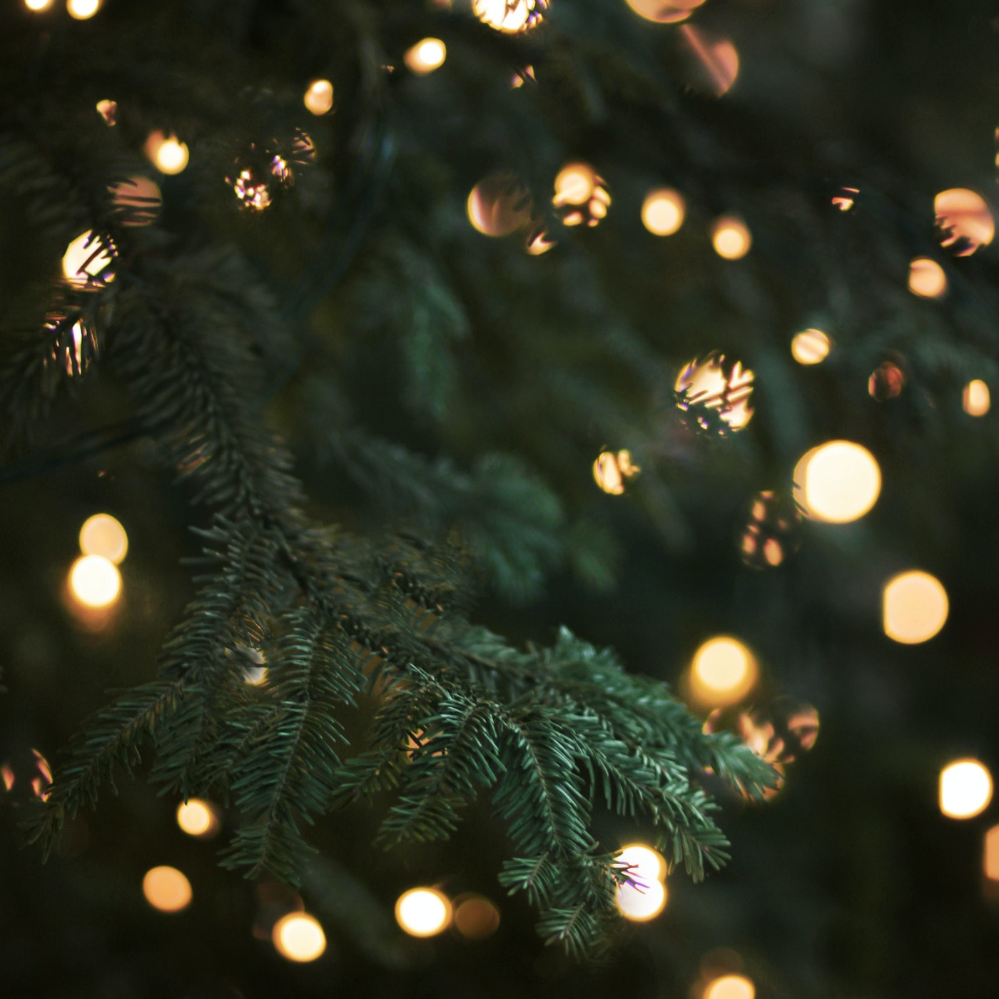 Mini-Tipps im Dezember – Besuch auf dem Weihnachtsmarkt // HIMBEER