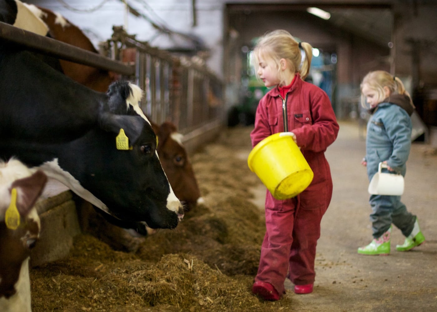 Familienurlaub auf dem Bauernhof in den Niederlande: Kinder können im Stall mithelfen // HIMBEER