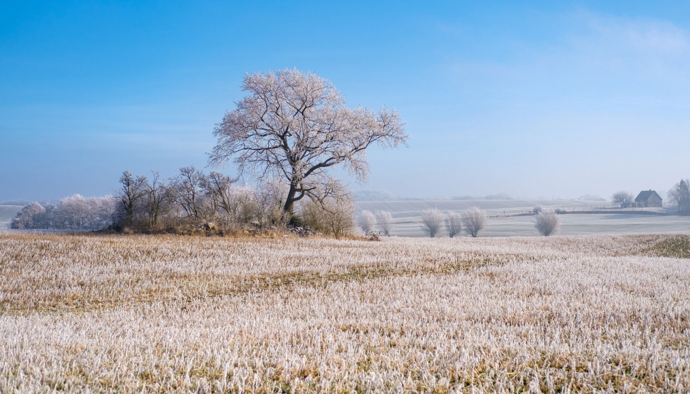 Winterliche Felder An Der Ostsee – Durchatmen // Himbeer