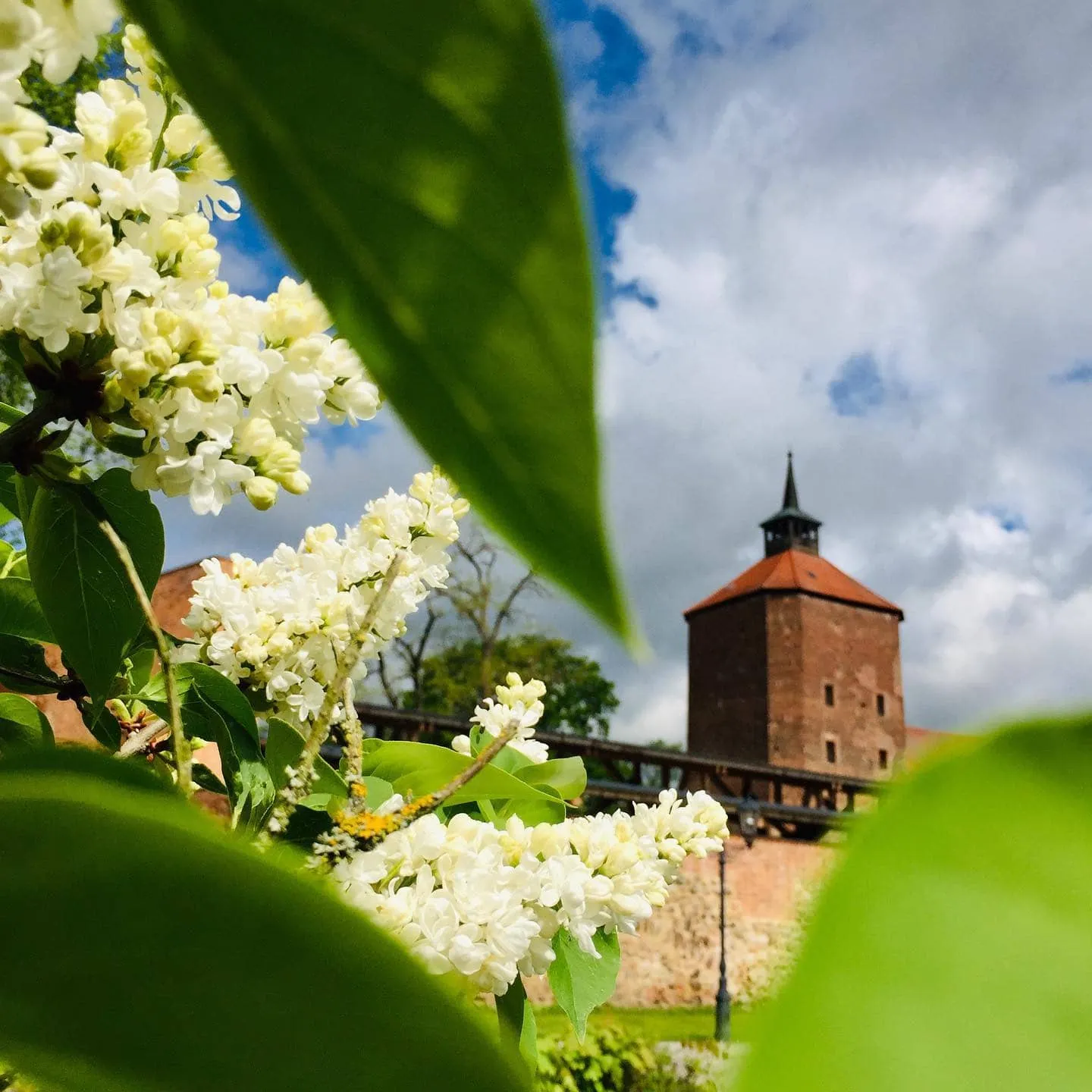 Feste Und Festivals Im Mai: Hollefest &Amp; Hexennacht Auf Burg Beeskow // Himbeer