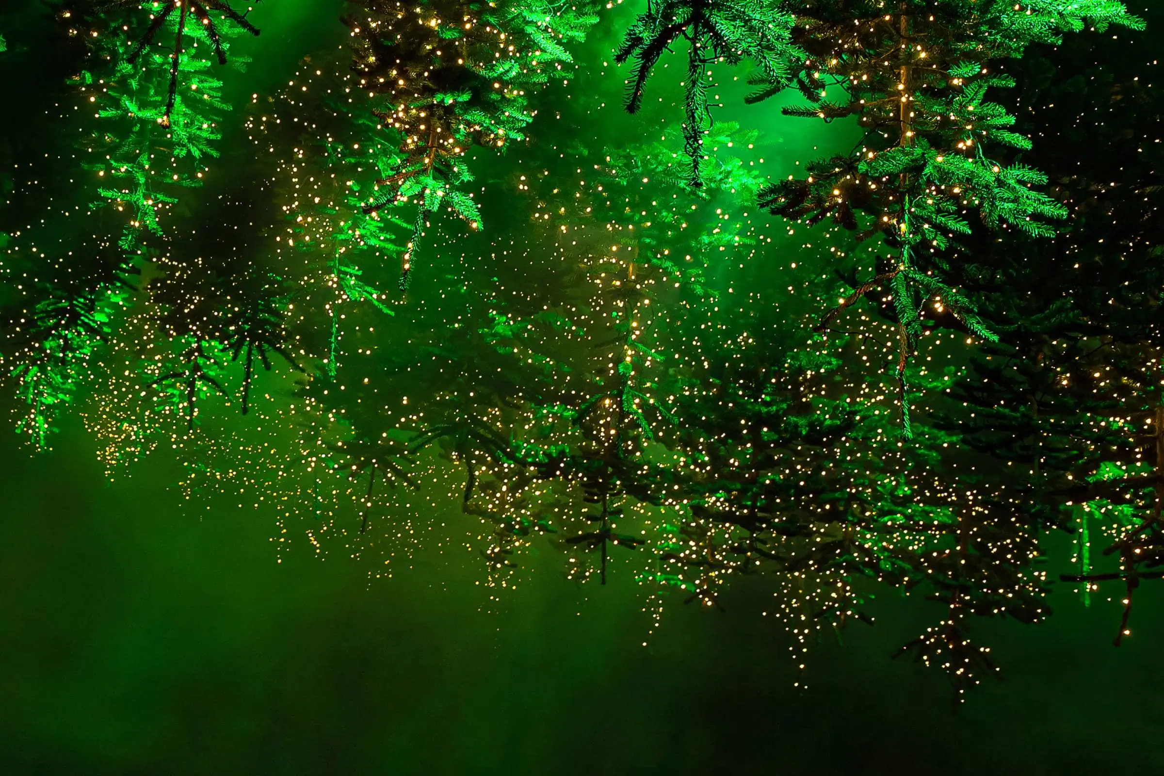 Ein Himmel Aus Leuchtenden Bäumen Bei Dark Matter // Himbeer