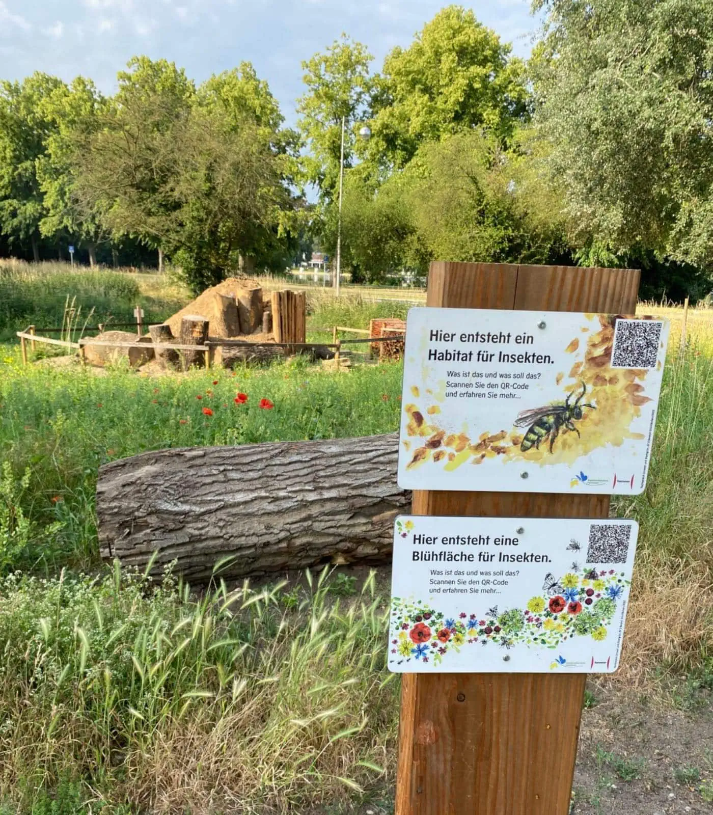 Deutschland Summt! – Bundesweiter Pflanzwettbewerb Insektenfreundlich Gärtner Mit Kindern, Gewinner:innen 2023 // Himbeer
